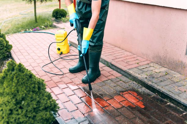 Best Solar Panel Cleaning  in Harlem, FL